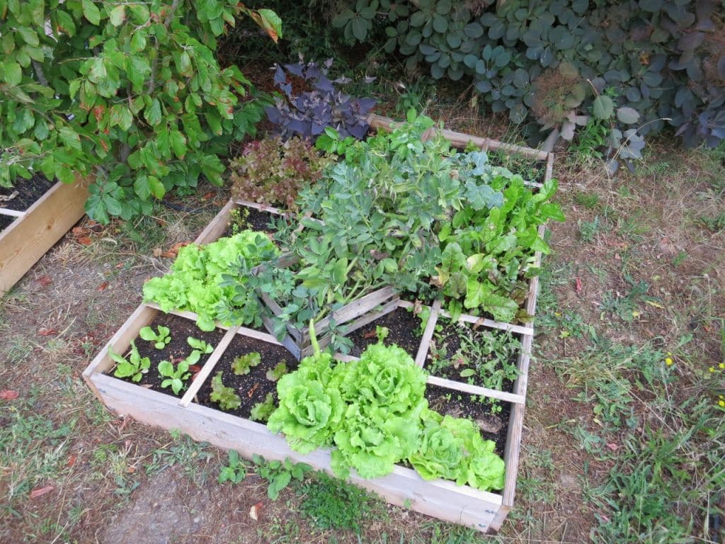 Quelques Conseils Pour Bien Pr Parer Son Potager L Hiver